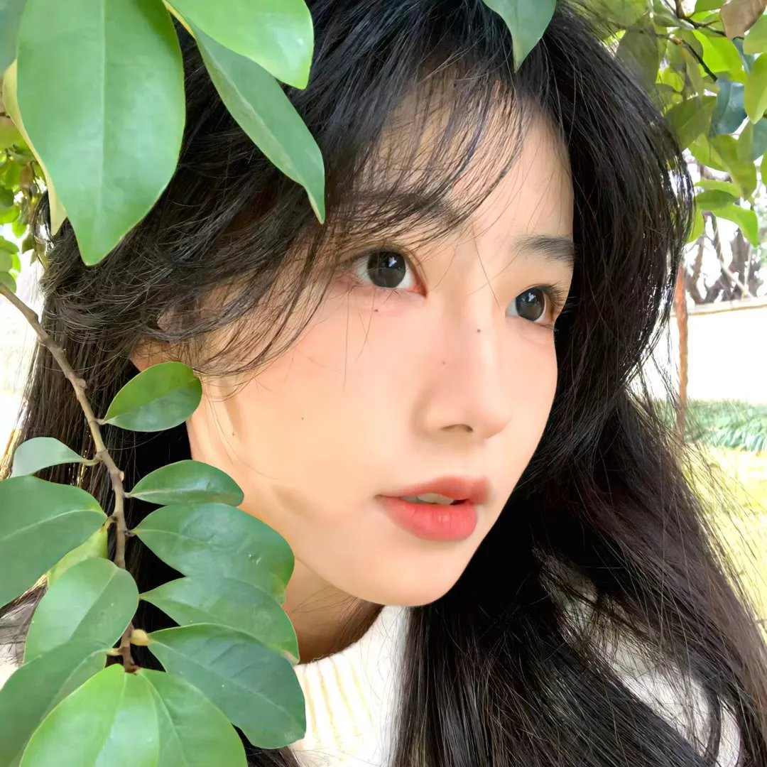 热血狂花